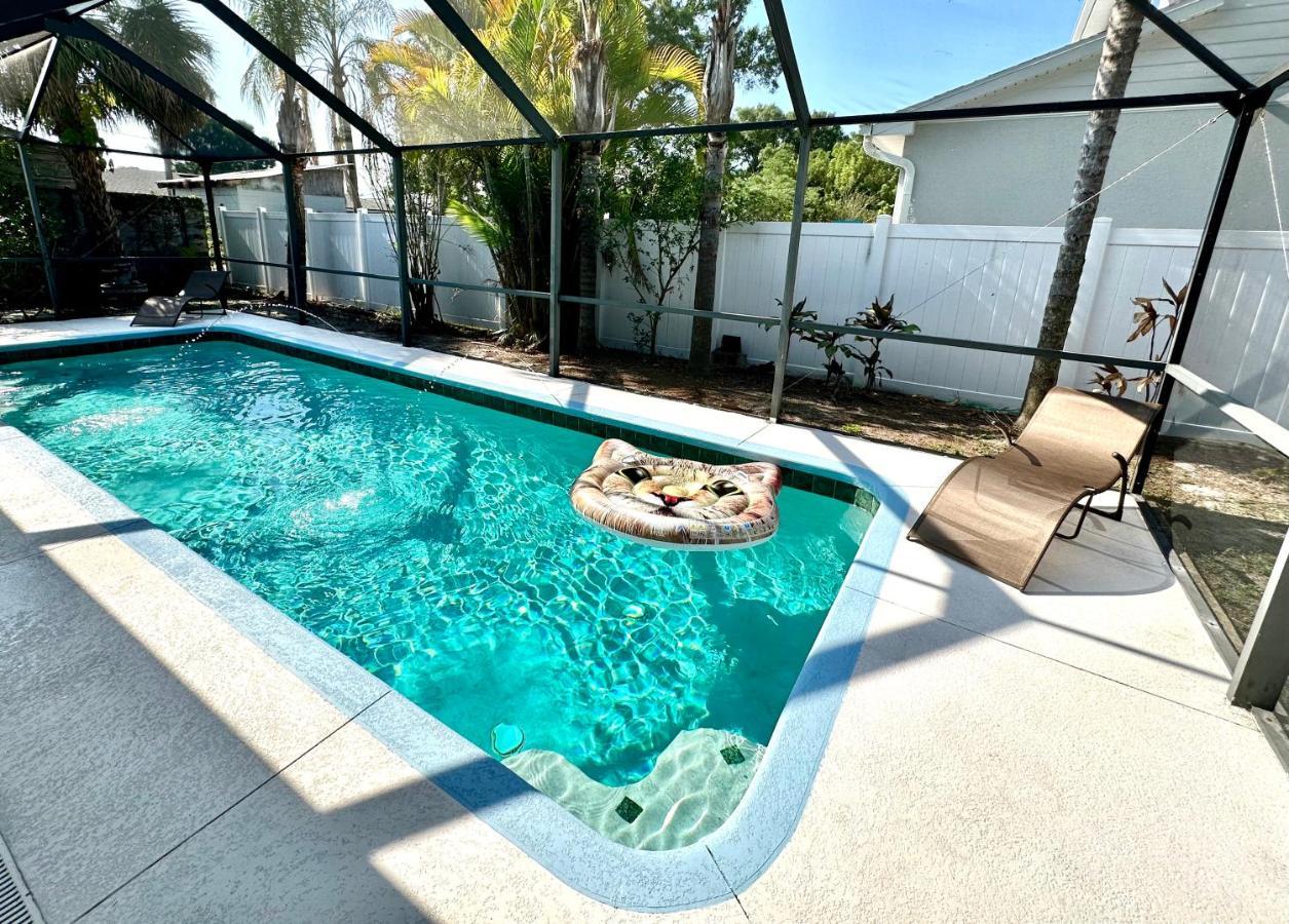 Heated Pool! Paradise In Midtown Tampa 3B2B Zewnętrze zdjęcie